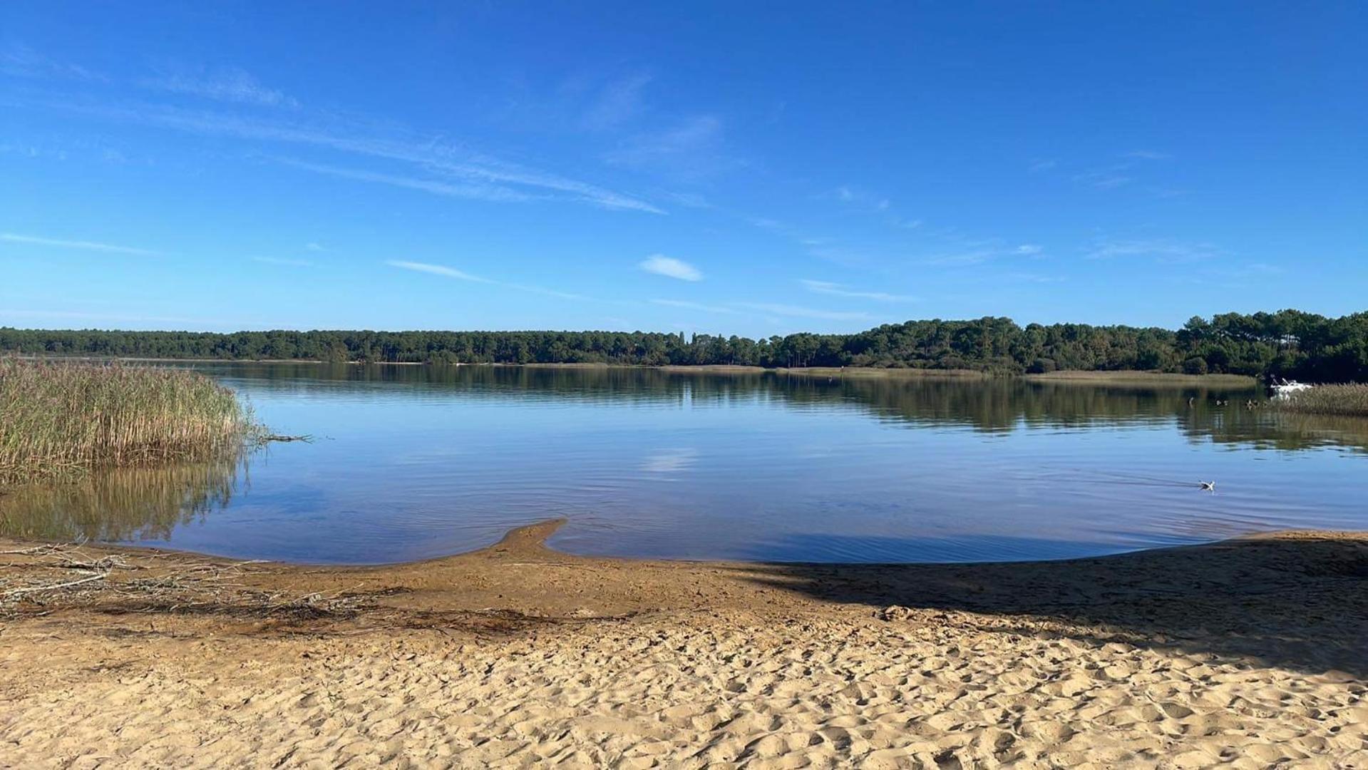 Appartement T2 Proche Lac Sanguinet Eksteriør bilde