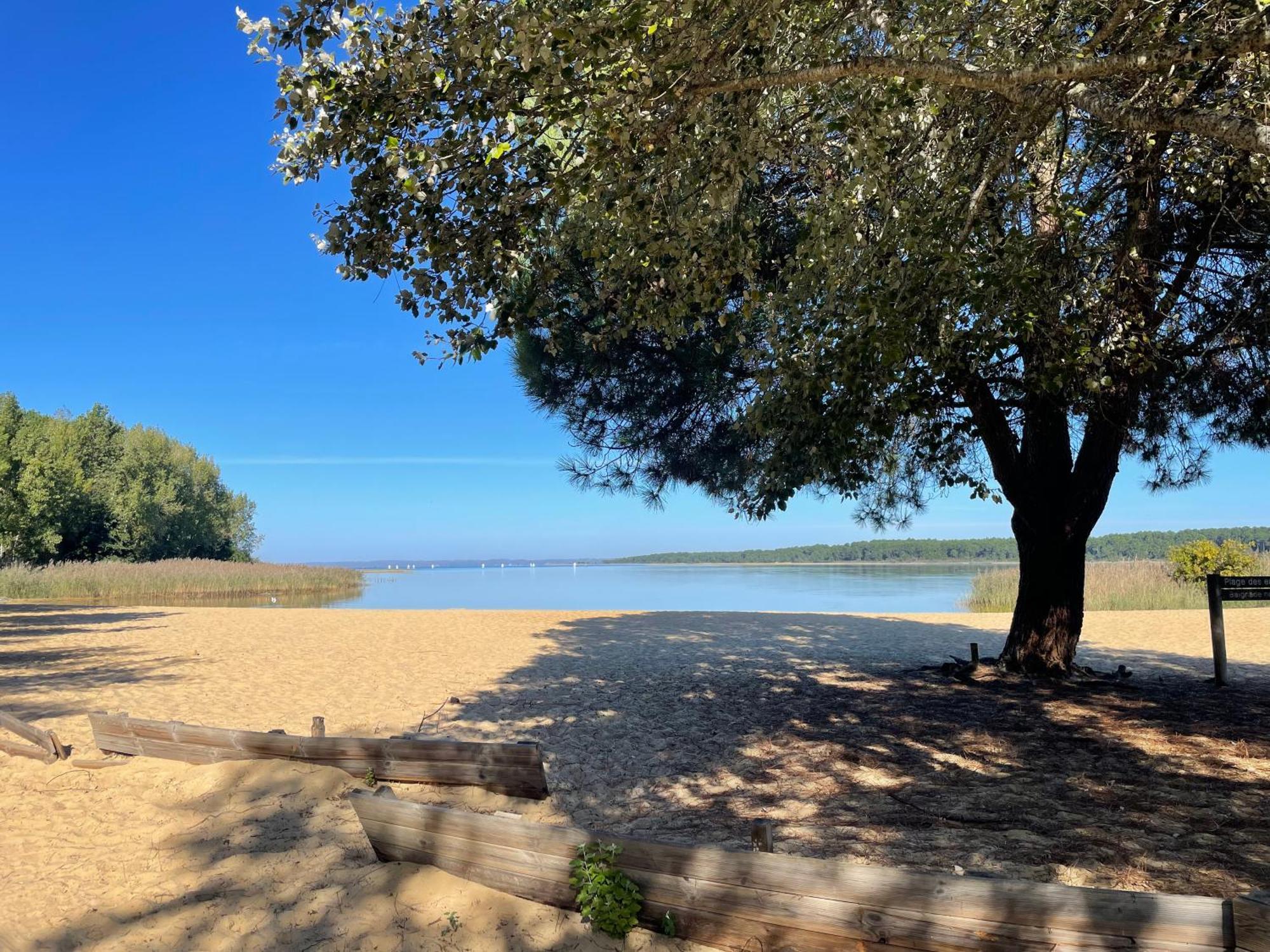 Appartement T2 Proche Lac Sanguinet Eksteriør bilde